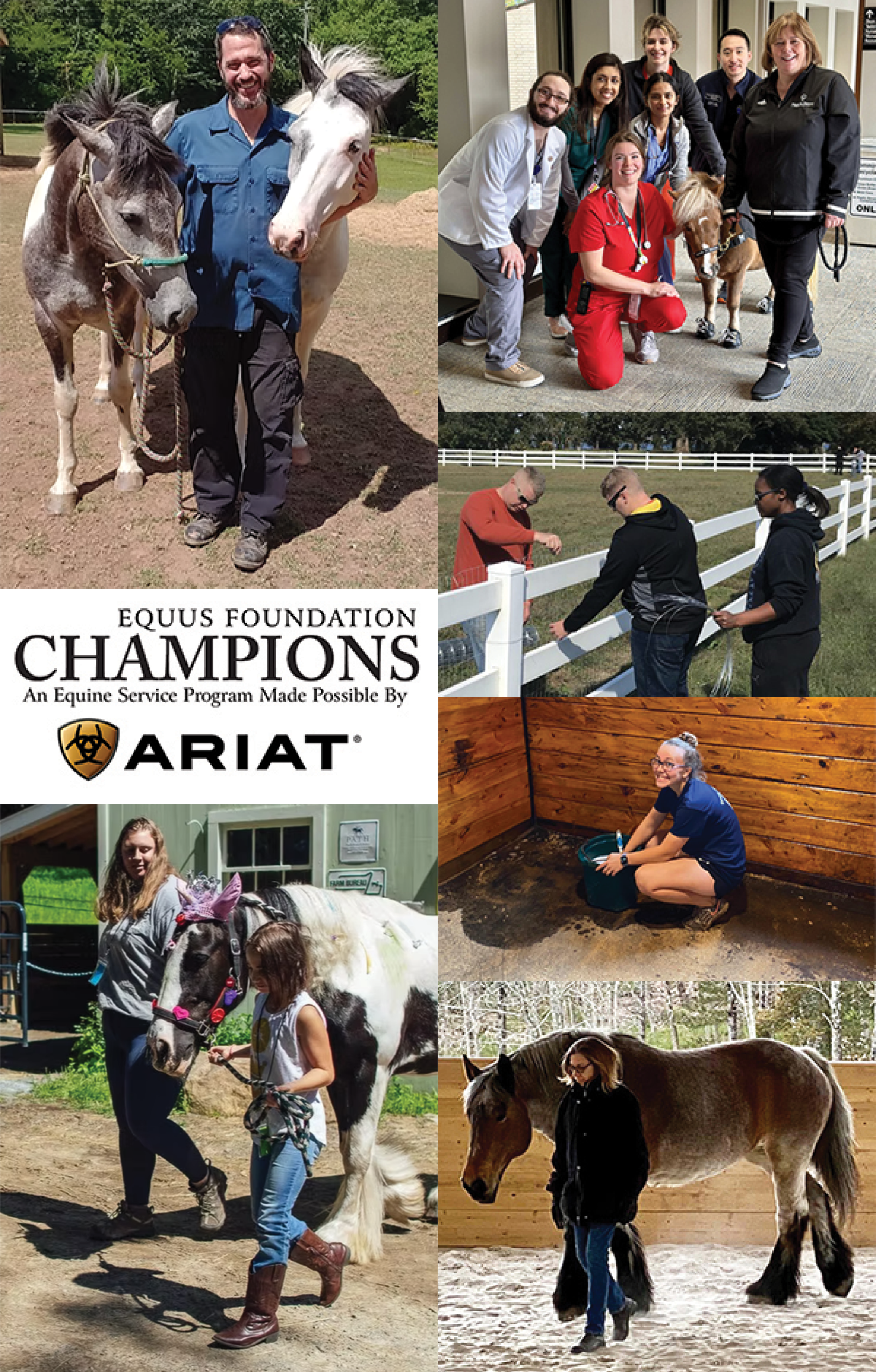 The Reliance on Volunteers at Equine Charities – and the Need for More Volunteers – Grows Every Day!