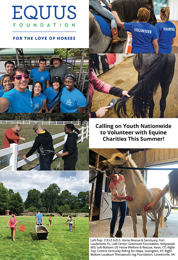 EQUUS Foundation Calls on Youth Nationwide to Volunteer with Equine Charities This Summer