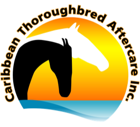 Brooke USA and EQUUS Foundation Partner to Provide Emergency Relief