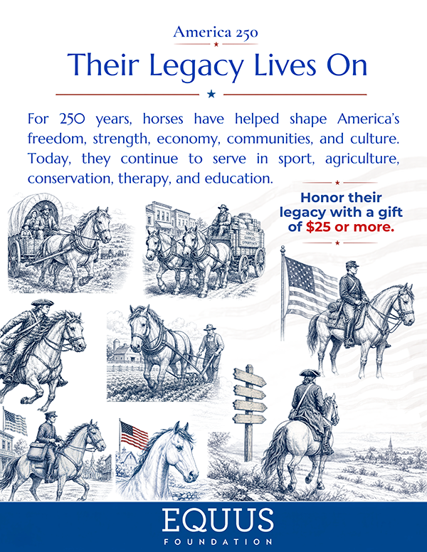 For 250 Years, Horses Helped Shape America. Join Us in Protecting Their Future