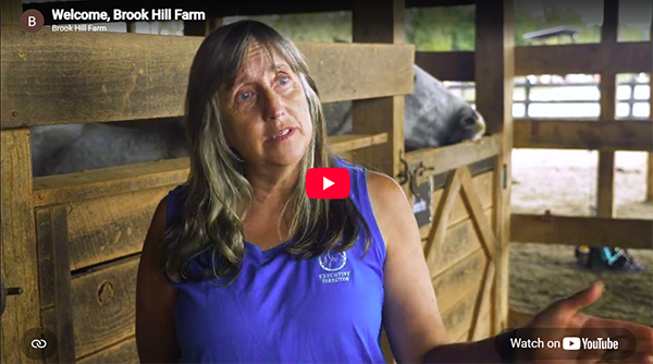 2026 WIHS EQUUS Foundation Award Recipient