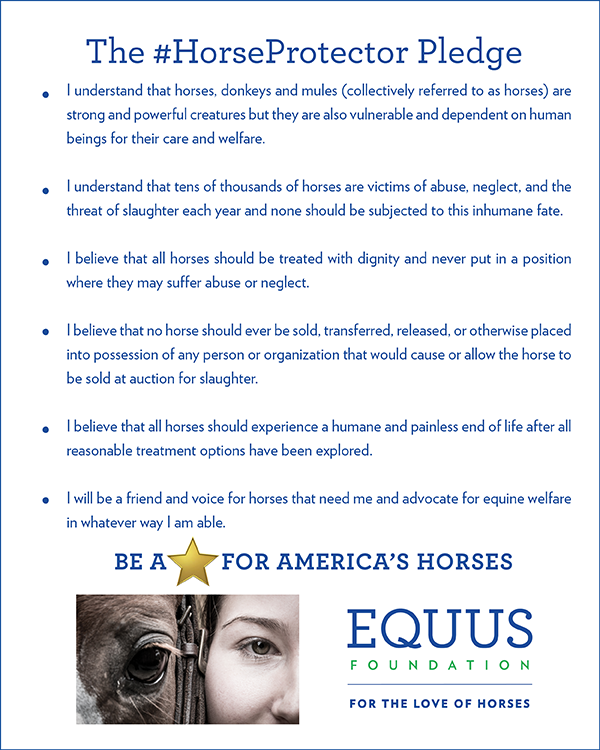#HorseProtector Pledge