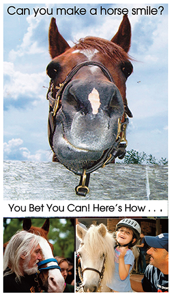 Make A Horse Smile Here