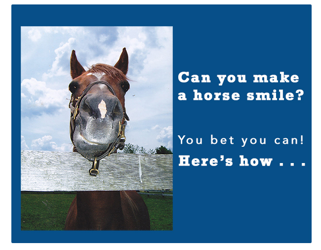 Can You Make a Horse Smile?