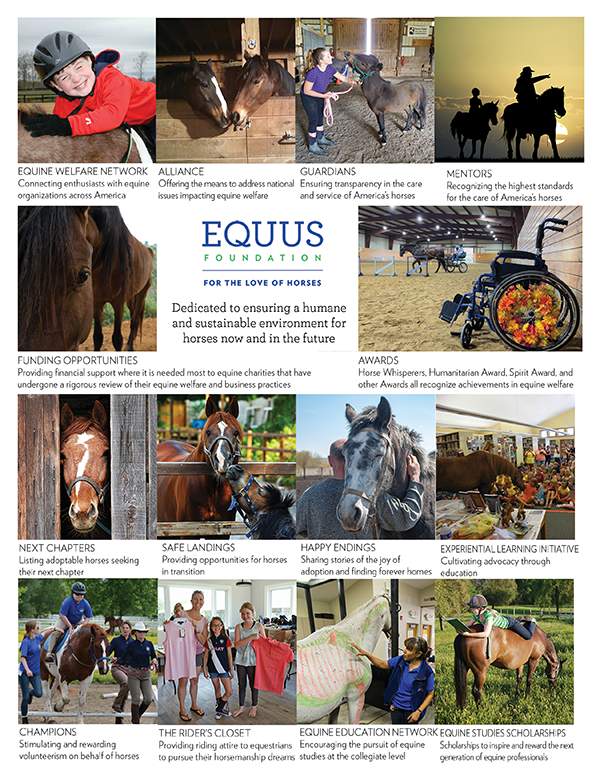 EQUUS Foundation Programs